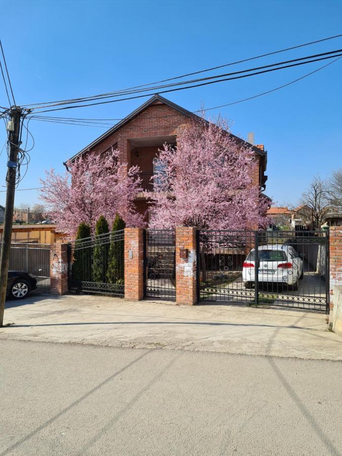 Apartment Ken Surčin Exteriér fotografie